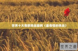 世界十大奇葩挑战案例（最奇怪的挑战）