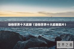 动物世界十大武器（动物世界十大武器图片）