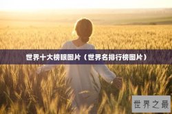 世界十大榜眼图片（世界名排行榜图片）