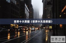 世界十大贵猫（世界十大昂贵猫）