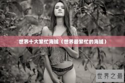 世界十大繁忙海域（世界最繁忙的海域）