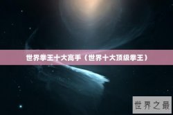 世界拳王十大高手（世界十大顶级拳王）