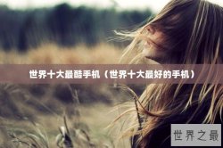 世界十大最酷手机（世界十大最好的手机）