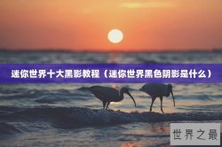 迷你世界十大黑影教程（迷你世界黑色阴影是什么）