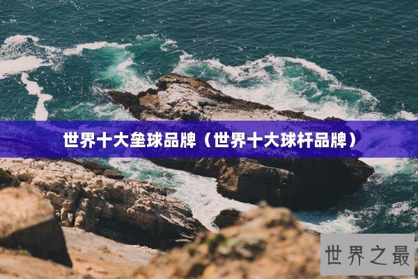 世界十大垒球品牌（世界十大球杆品牌）
