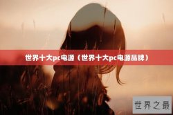 世界十大pc电源（世界十大pc电源品牌）