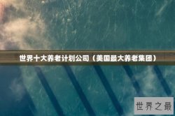 世界十大养老计划公司（美国最大养老集团）