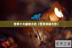 世界十大最快大巴（世界顶级大巴）