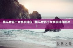 格斗世界十大拳手排名（格斗世界十大拳手排名图片）