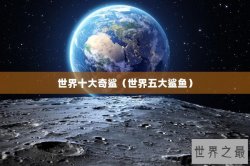 世界十大奇鲨（世界五大鲨鱼）