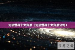 幻想世界十大资质（幻想世界十大资质公司）