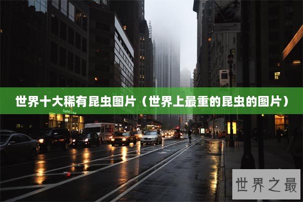 世界十大稀有昆虫图片（世界上最重的昆虫的图片）