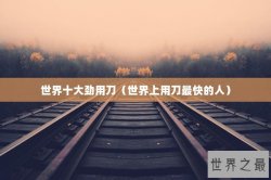 世界十大劲用刀（世界上用刀最快的人）