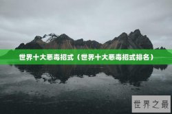 世界十大恶毒招式（世界十大恶毒招式排名）