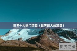 世界十大热门项目（世界最大的项目）