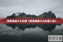 世界排球十大扑救（世界排球十大扑救人员）
