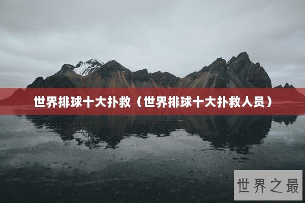 世界排球十大扑救（世界排球十大扑救人员）