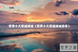 世界十大忠诚球迷（世界十大忠诚球迷排名）