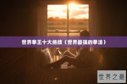 世界拳王十大绝技（世界最强的拳法）