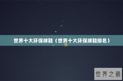 世界十大环保球鞋（世界十大环保球鞋排名）