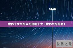 世界十大气车公司是哪十大（世界气车排名）