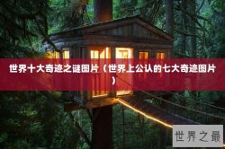 世界十大奇迹之谜图片（世界上公认的七大奇迹图片）