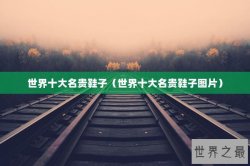 世界十大名贵鞋子（世界十大名贵鞋子图片）