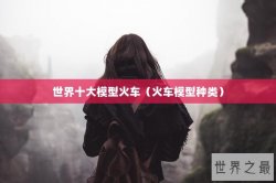 世界十大模型火车（火车模型种类）