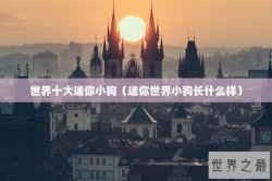 世界十大迷你小狗（迷你世界小狗长什么样）