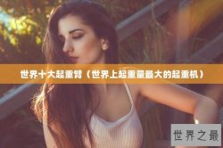 世界十大起重臂（世界上起重量最大的起重机）