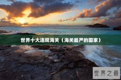 世界十大违规海关（海关最严的国家）