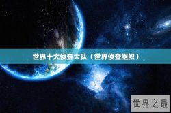 世界十大侦查大队（世界侦查组织）