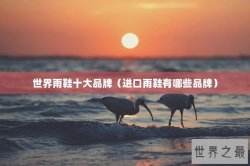世界雨鞋十大品牌（进口雨鞋有哪些品牌）