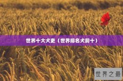 世界十大犬吏（世界排名犬前十）