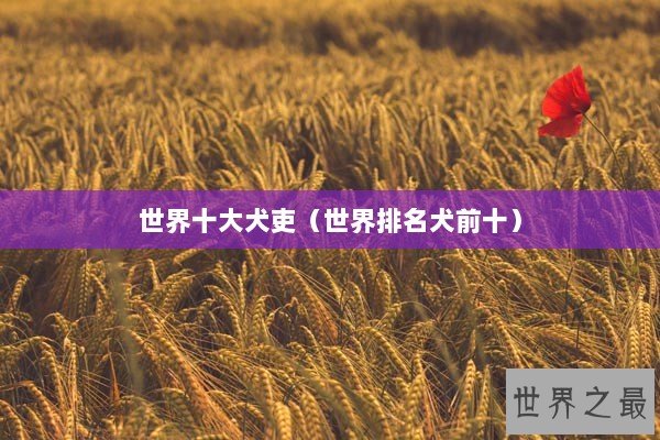 世界十大犬吏（世界排名犬前十）