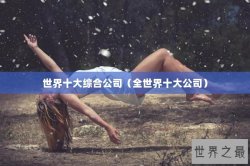 世界十大综合公司（全世界十大公司）