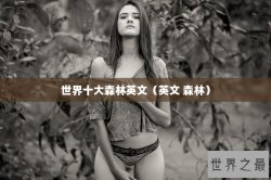 世界十大森林英文（英文 森林）