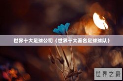 世界十大足球公司（世界十大著名足球球队）