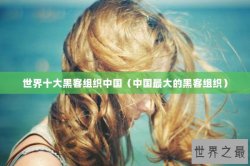 世界十大黑客组织中国（中国最大的黑客组织）