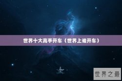 世界十大高手开车（世界上谁开车）