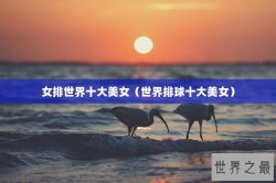 女排世界十大美女（世界排球十大美女）