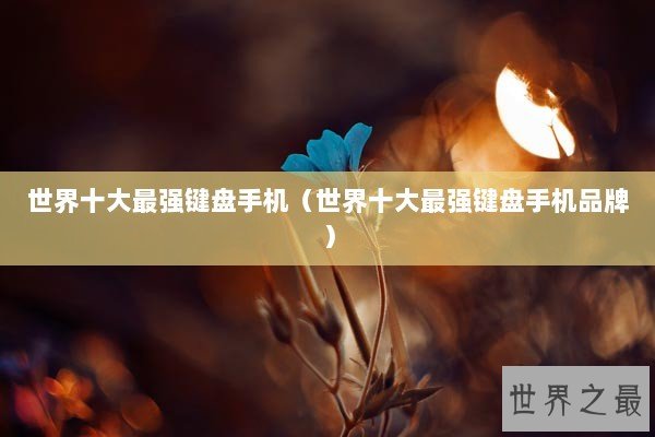 世界十大最强键盘手机（世界十大最强键盘手机品牌）