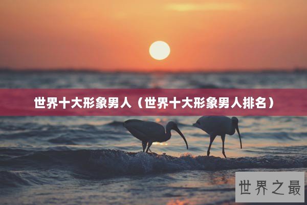 世界十大形象男人（世界十大形象男人排名）