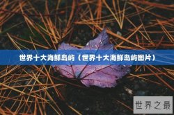 世界十大海鲜岛屿（世界十大海鲜岛屿图片）