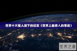 世界十大催人泪下的纪实（世界上最感人的事迹）