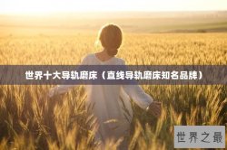 世界十大导轨磨床（直线导轨磨床知名品牌）