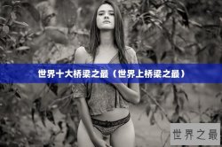 世界十大桥梁之最（世界上桥梁之最）