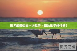 世界最美街头十大歌手（街头歌手排行榜）