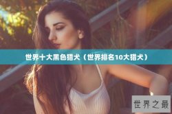 世界十大黑色猎犬（世界排名10大猎犬）