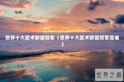 世界十大武术联盟冠军（世界十大武术联盟冠军是谁）